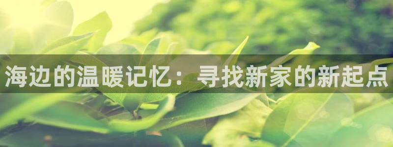 海角社区论坛账号分享