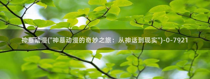 78动漫模型玩具网：神墓动漫(\
