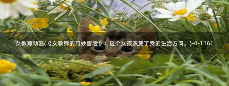 同性恋动漫：女教师动漫(《女教师的奇妙冒险》：这个女孩改变了我的生活方向。)