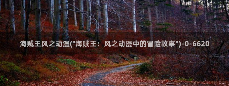 少儿动漫：海贼王风之动漫(\