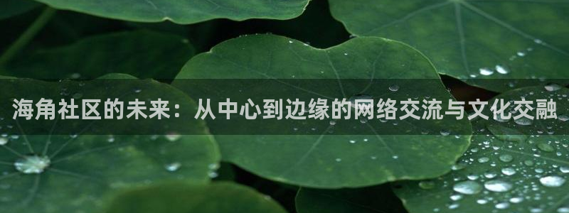 苹果海角社区:海角社区的未来:从中心到边缘的网络交流与文化交融