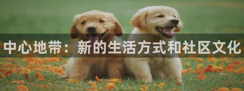 海角社区安卓版在线下载:中心地带:新的生活方式和社区文化