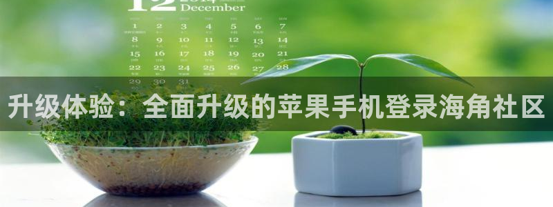海角社区是软件还是网页:升级体验:全面升级的苹果手机登录海角社区