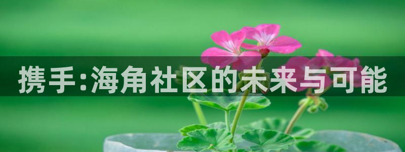 谁有海角社区：携手:海角社区的未来与可能