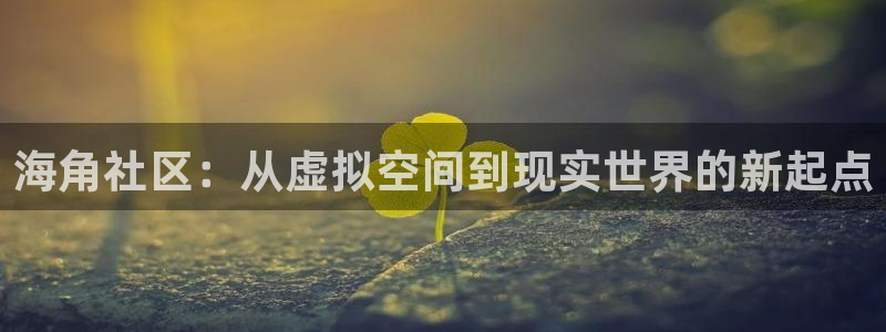 兄弟们海角社区怎么进：海角社区：从虚拟空间到现实世界的新起点