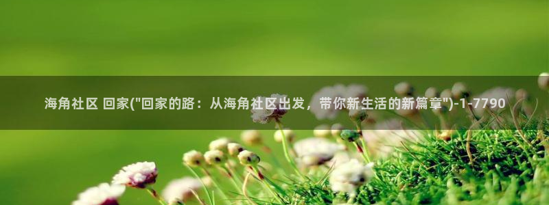 海角社区聊天：海角社区 回家(\