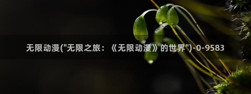 耽美动漫h